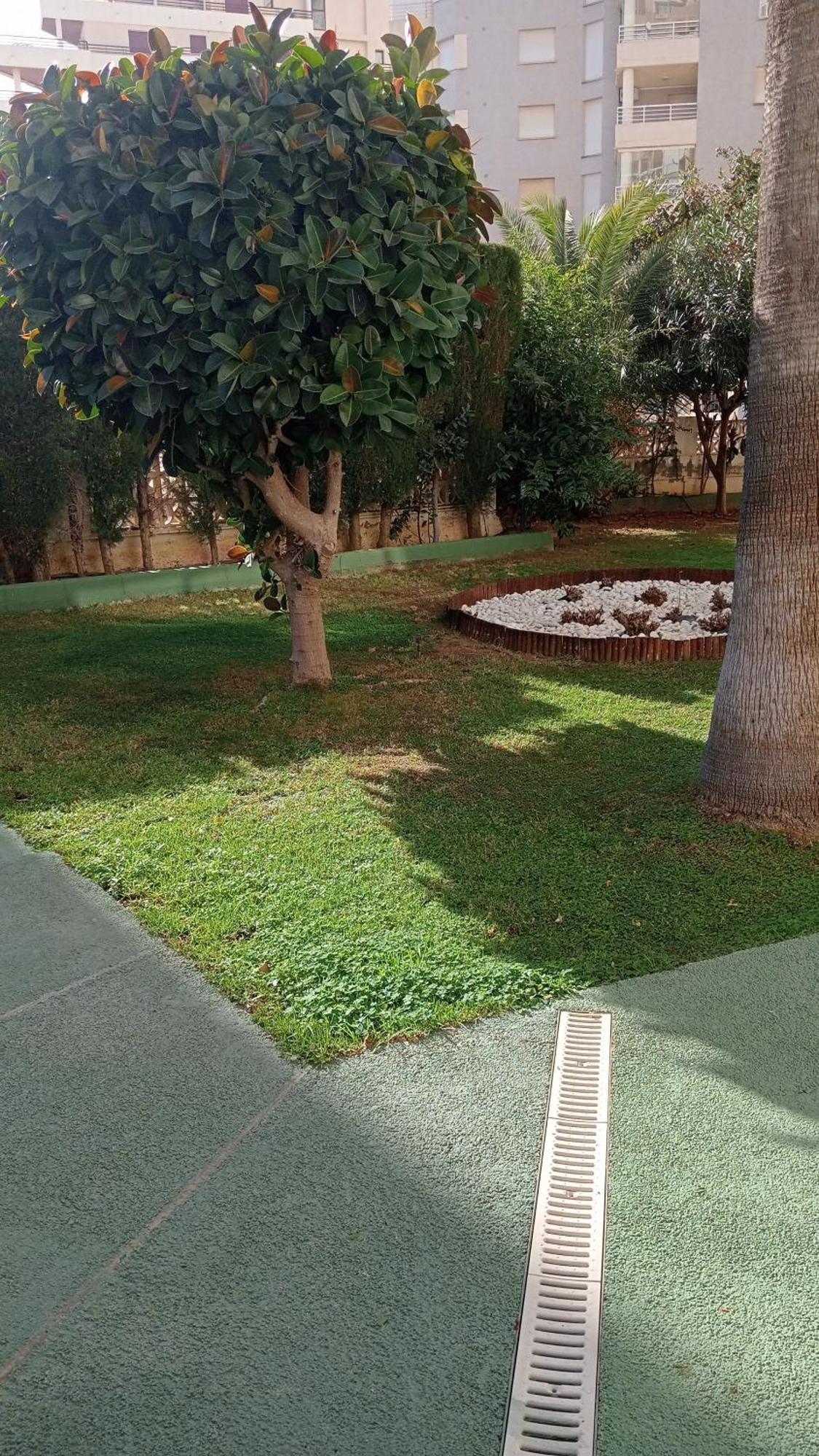 Rosa De Los Vientos Calpe Buitenkant foto